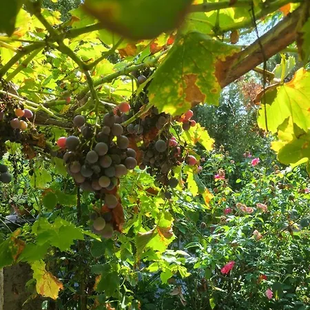 Dans Maison D'hote Gasthof *