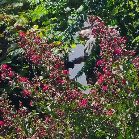 Dans Maison D'hote Gasthof