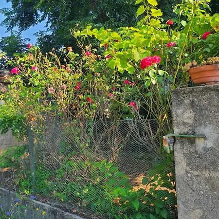 Dans Maison D'hote Guest house