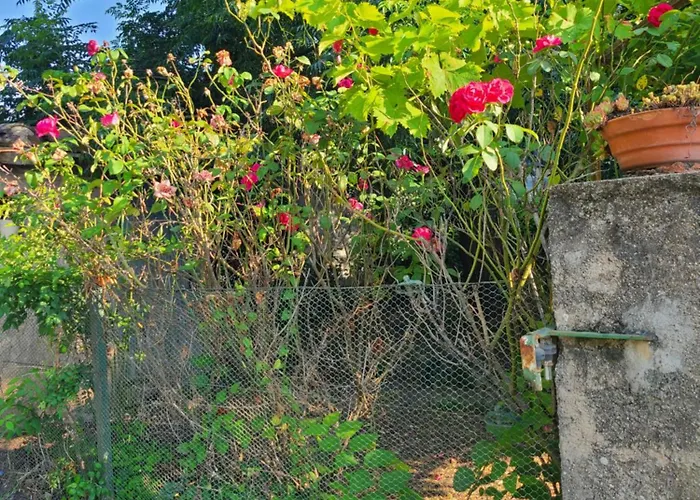 Dans Maison D'hote Gasthuis