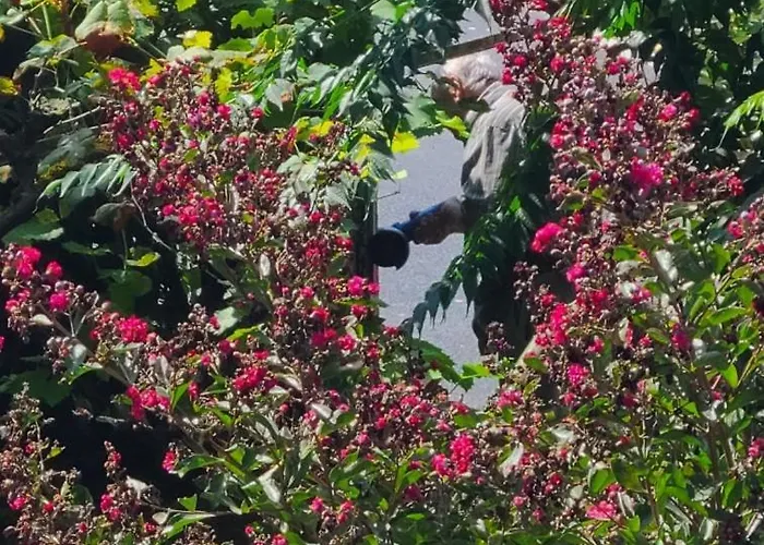 Dans Maison D'hote Gasthuis